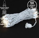 50 Light Random Twinkle Mini Lights 25'