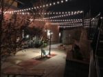 25 G40 Globe String Light Set with Clear Bulbs on Green Wire