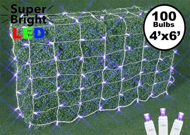 Purple LED Net Lights, White Wire 4x6