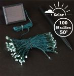Warm White LED Solar Powered Lights 100 Light String Green Wire