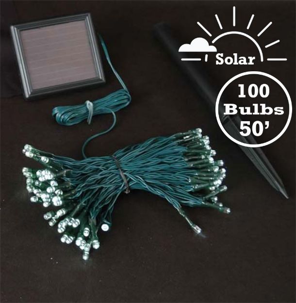 Warm White LED Solar Powered Lights 100 Light String Green Wire