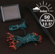 Red LED Solar Powered Lights 50 Light String Green Wire