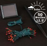 Red LED Solar Powered Lights 50 Light String Green Wire