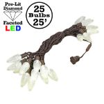 25 Warm White LED C9 Pre-Lamped String Lights Brown Wire