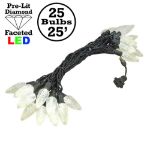25 Warm White LED C9 Pre-Lamped String Lights Black Wire
