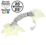 25 Warm White LED C9 Pre-Lamped String Lights on White Wire