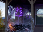 24" Halloween Spider LED Rope Light Motif 