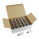 24 Warm White Plastic LED S14 Commercial Grade Light String Set on 48' of White Wire Shatterproof