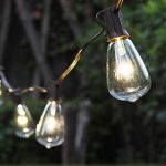 Clear ST38 - 7 Watt Replacement Bulbs 25 Pack