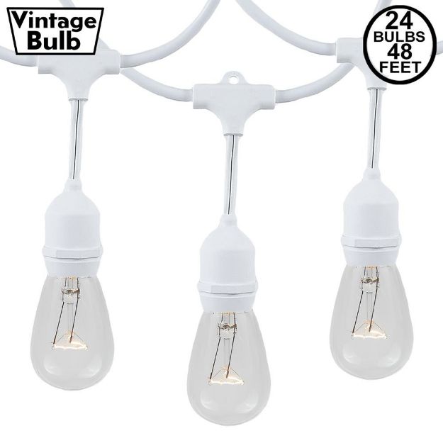 24 Clear S14 Commercial Grade Suspended Light String Set on 48' of White Wire 