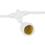 24 Clear S14 Commercial Grade Suspended Light String Set on 48' of White Wire 