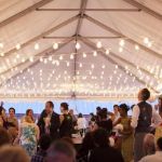 24 Clear S14 Commercial Grade Suspended Light String Set on 48' of White Wire 