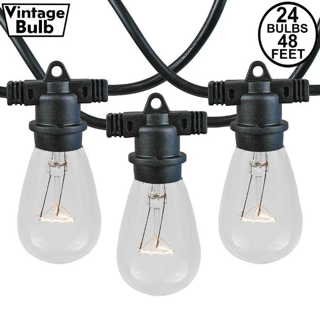 24 Clear S14 Commercial Grade Light String Set on 48' of Black Wire 