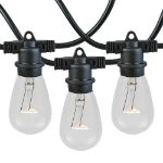 24 Clear S14 Commercial Grade Light String Set on 48' of Black Wire 