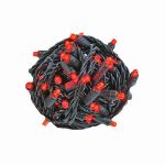 Commercial Grade Wide Angle 50 LED Red 25' Long on Black Wire