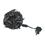 Commercial Grade Wide Angle 50 LED Purple 25' Long on Black Wire