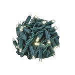 Commercial Grade Wide Angle 50 LED Warm White 25' Long on Green Wire
