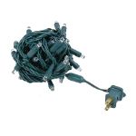 Commercial Grade Wide Angle 50 LED Warm White 25' Long on Green Wire