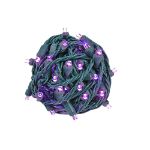 Commercial Grade Wide Angle 50 LED Purple 25' Long on Green Wire