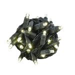 Twinkle LED Christmas Lights 50 LED Warm White 25' Black Wire