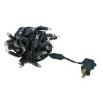 Twinkle LED Christmas Lights 50 LED Warm White 25' Black Wire