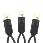 Twinkle LED Christmas Lights 50 LED Warm White 25' Black Wire
