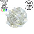LED Curtain Twinkle Lights 50 LED Warm White Non-Connectable White Wire