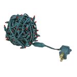 Commercial Grade Wide Angle 100 LED Red 34' Long on Green Wire