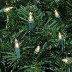 Clear 50 Light 25' Long Green Wire Christmas Mini Lights